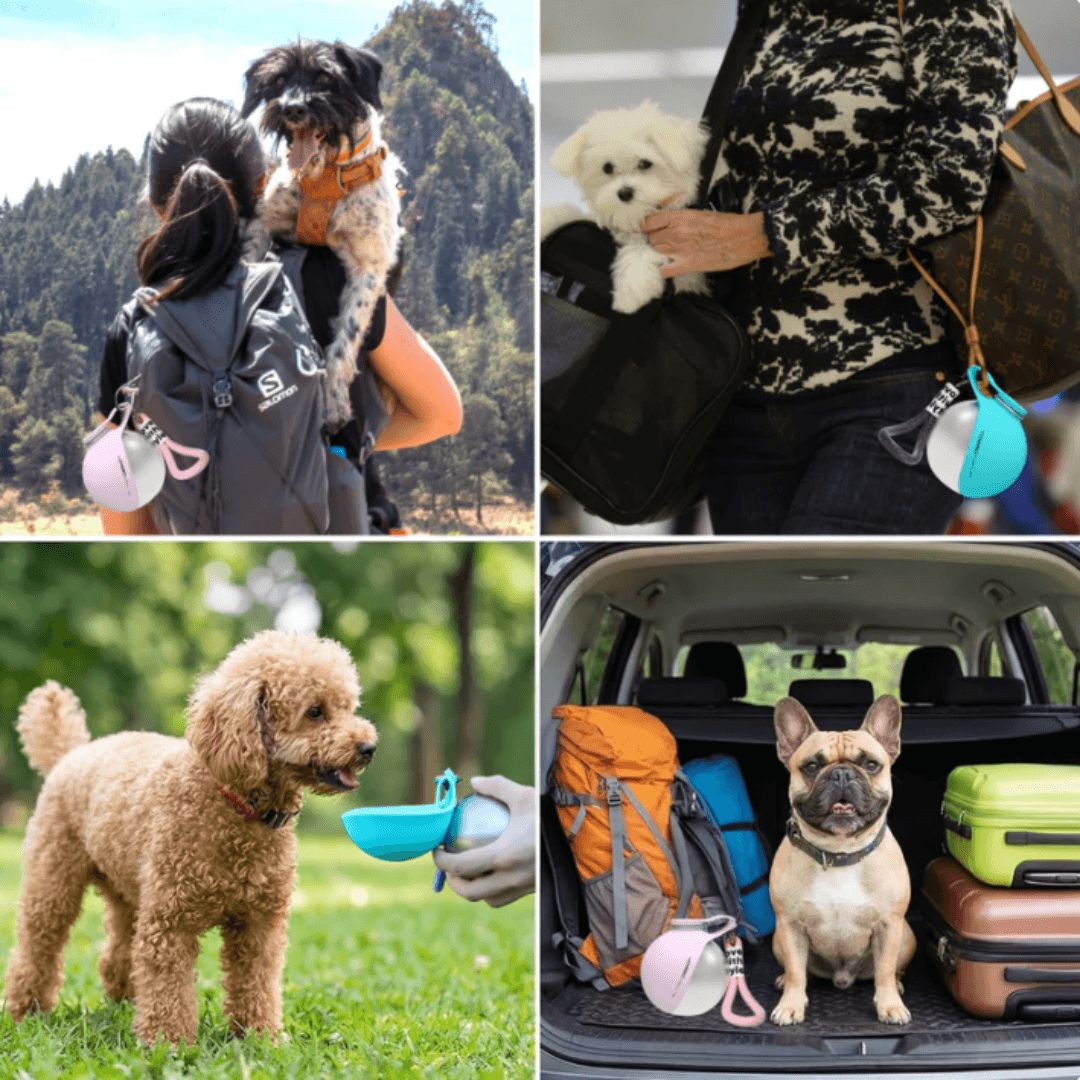 EasyPaws™ Adventure Water Bottle – Hydration Made Easy for Dogs On The Go