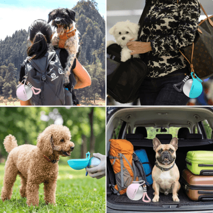 EasyPaws™ Adventure Water Bottle – Hydration Made Easy for Dogs On The Go